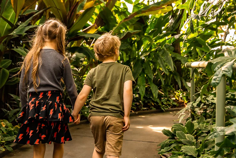 To kids walking in a botanical garden holding hands