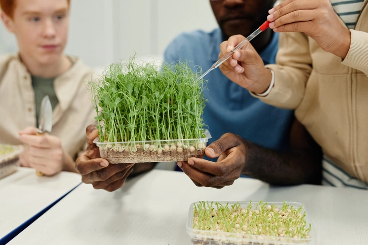 A person holding a box of flourishing seeds in a botanics class