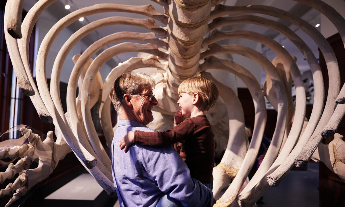 Grandfather holding his grandson in his arms smiling at the evolution exhibition